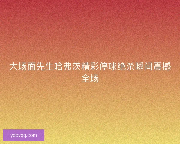 大场面先生哈弗茨精彩停球绝杀瞬间震撼全场